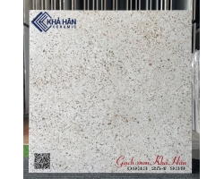Gạch granite terrazzo 60x60 mờ nhám 6028
